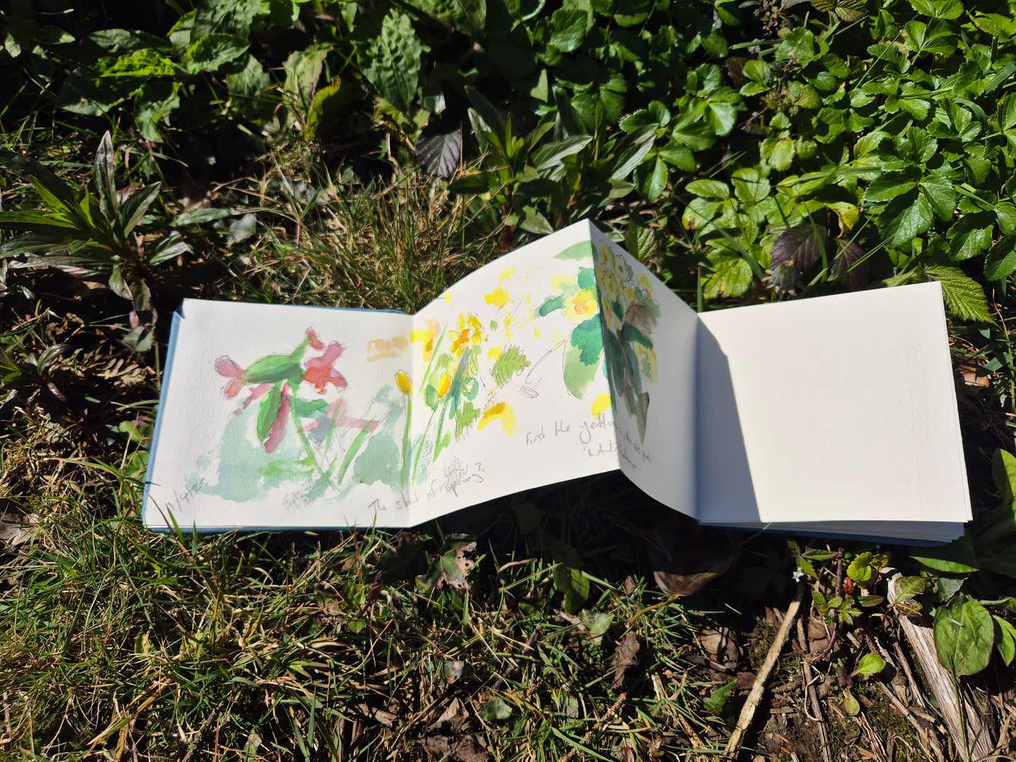 Concertina Sketchbooks